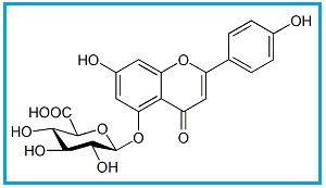 Apigenin 5-O-β-D-Glucuronide